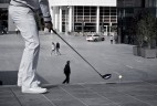 converse urban golf