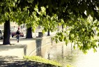 summer stroll